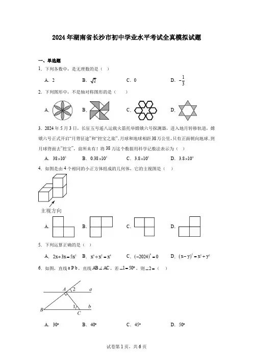 2024年湖南省长沙市初中学业水平考试全真模拟试题
