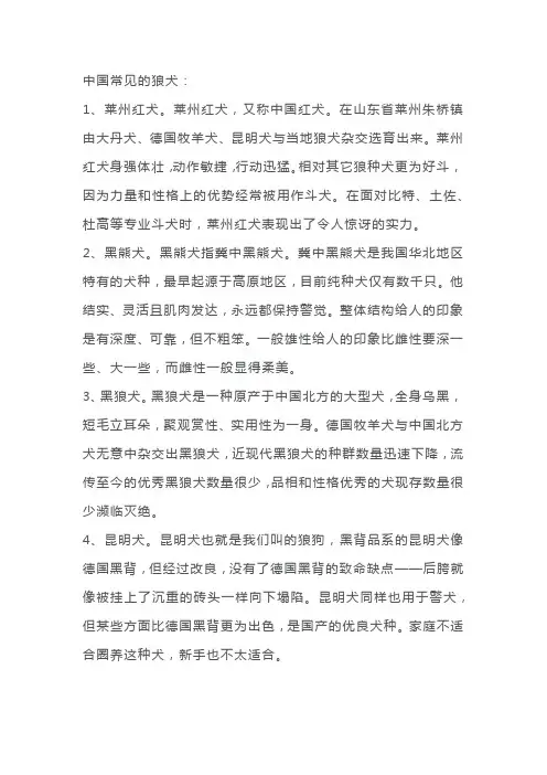 中国狼犬品种