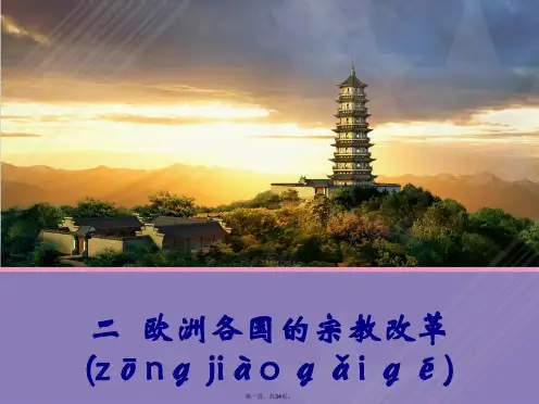 高中历史 专题五(二)欧洲各国的宗教改革课件 人民版选修1