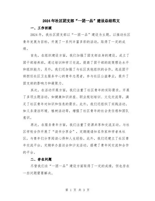 2024年社区团支部“一团一品”建设总结范文