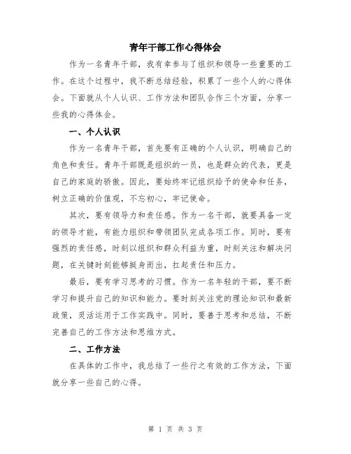 青年干部工作心得体会