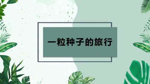 一粒种子的旅行