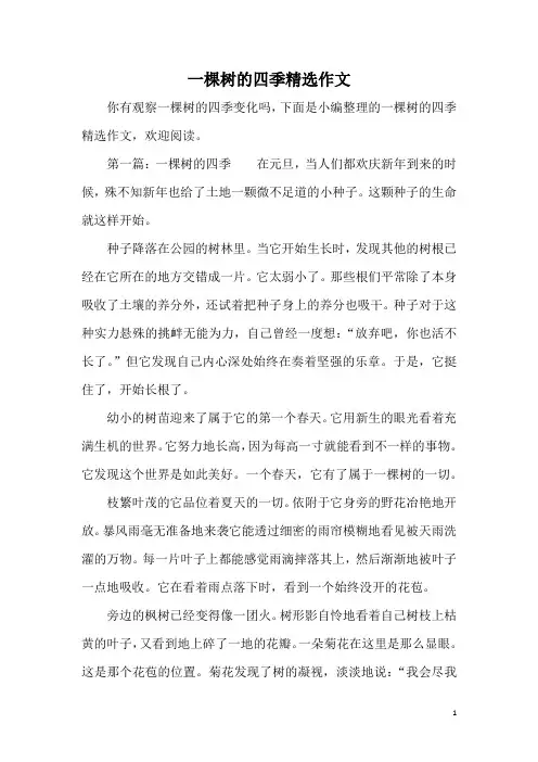 一棵树的四季精选作文