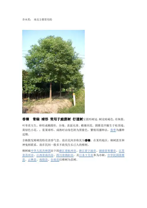 乔木类 南北方通用