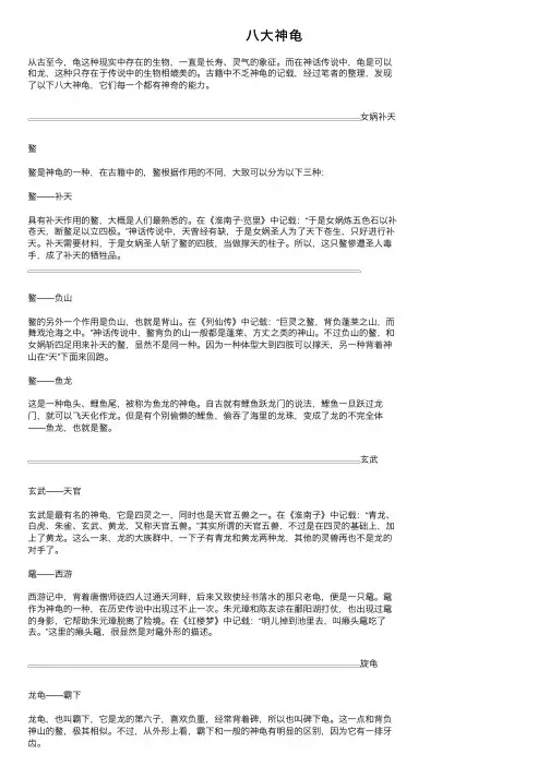 八大神龟——精选推荐