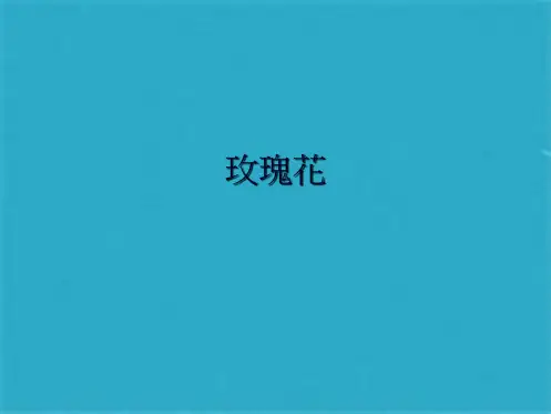 玫瑰花的图片ppt课件(共5张PPT)