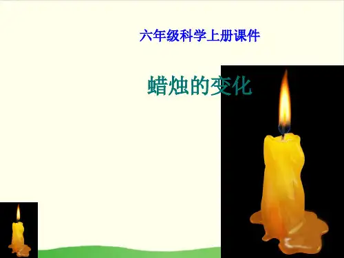 小学六年级上册- 蜡烛的变化-苏教版ppt(11张)