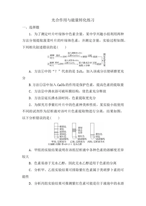 高三生物二轮复习练习：光合作用与能量转化