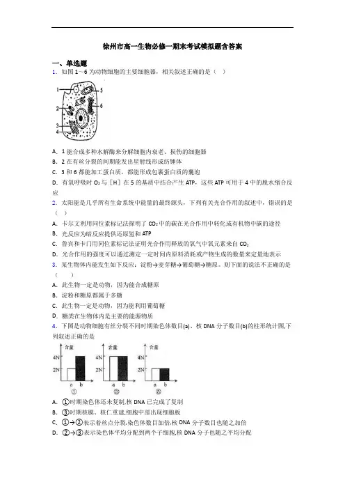徐州市高一生物必修一期末考试模拟题含答案