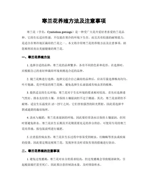 寒兰花养殖方法及注意事项