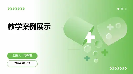 教学案例展示PPT