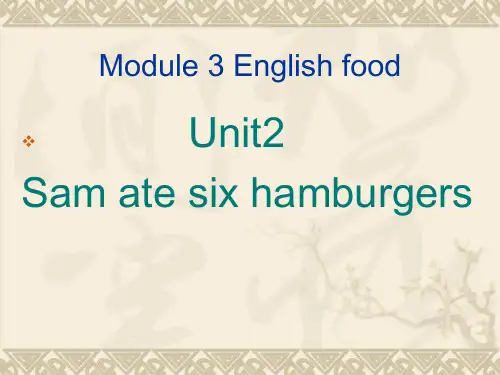 外研社(三年级起点)小学五年级英语module3unit2Sam_ate_six_hamburgers[1]