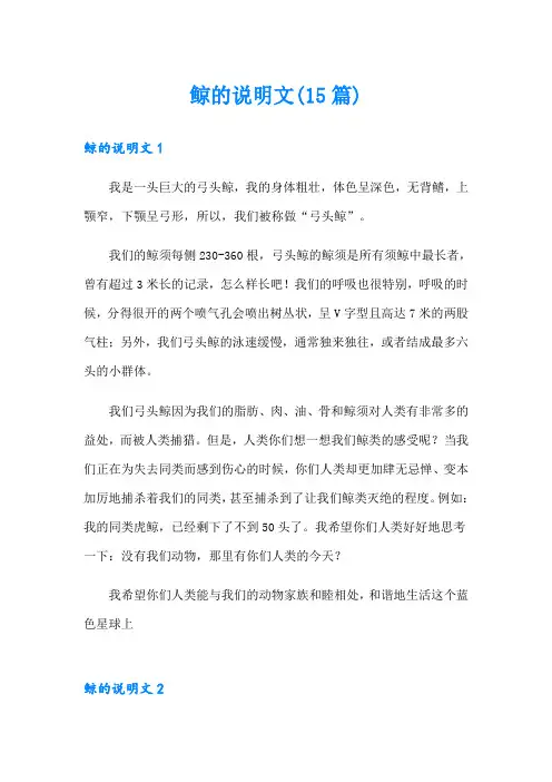 鲸的说明文(15篇)