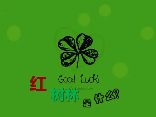 红树林