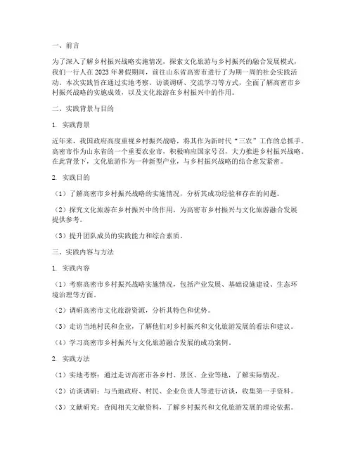 社会实践报告高密