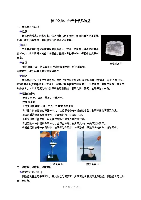 初三化学：生活中常见的盐