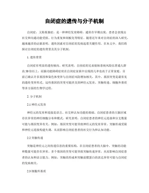 自闭症的遗传与分子机制