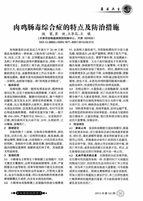 肉鸡肠毒综合症的特点及防治措施