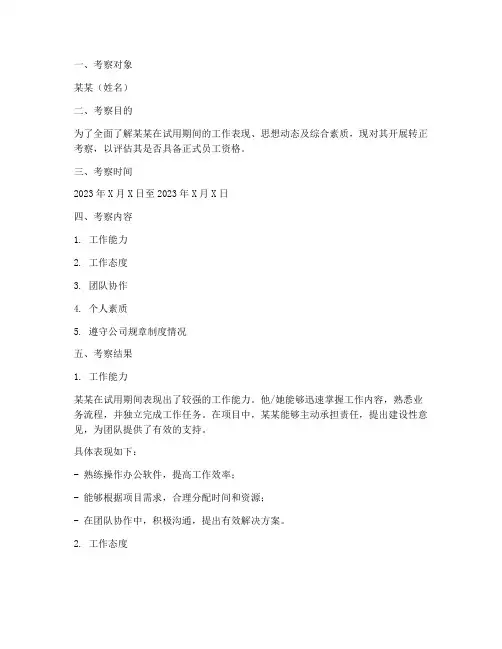对某某的转正考察报告