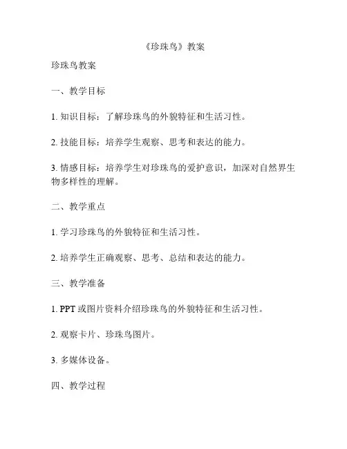 《珍珠鸟》教案