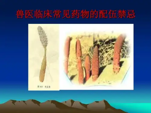 兽医临床常见药物的配伍禁忌