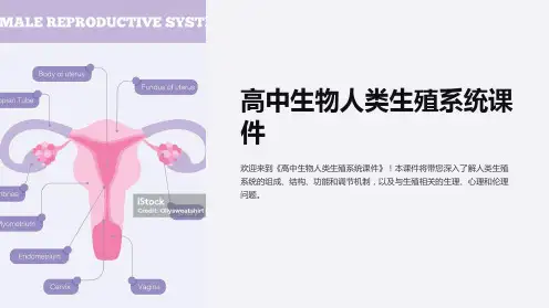 《高中生物人类生殖系统课件》