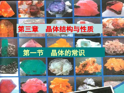 晶体常识PPT课件