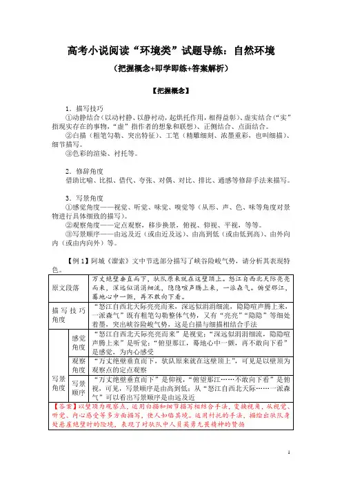 高考小说阅读“环境类”试题导练：自然环境(把握概念+即学即练+答案解析)