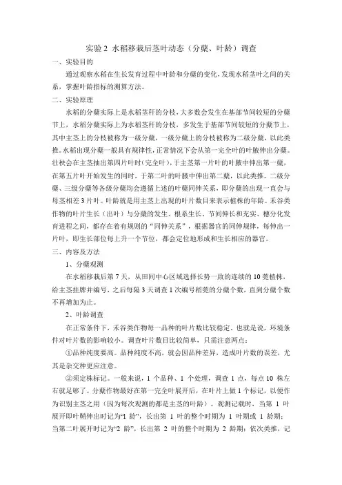 实验2 水稻移栽后茎叶动态(分蘖、叶龄)调查