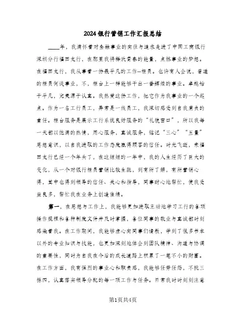 2024银行营销工作汇报总结（二篇）