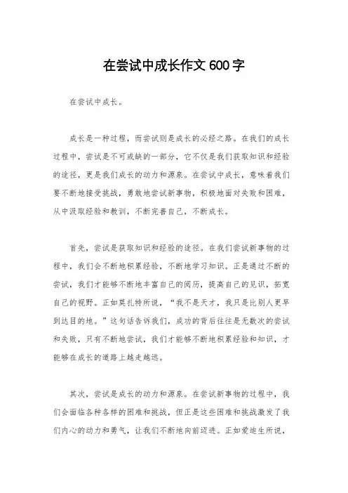 在尝试中成长作文600字