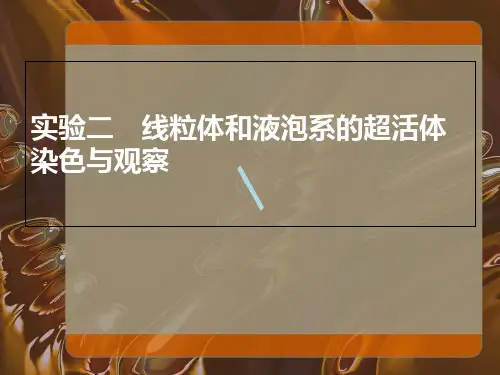 实验二线粒体和液泡系的超活体染色课件