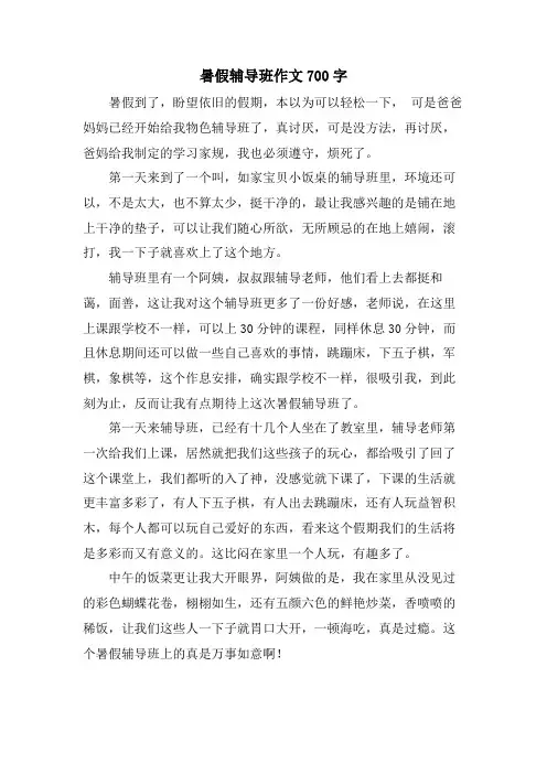 暑假辅导班作文700字
