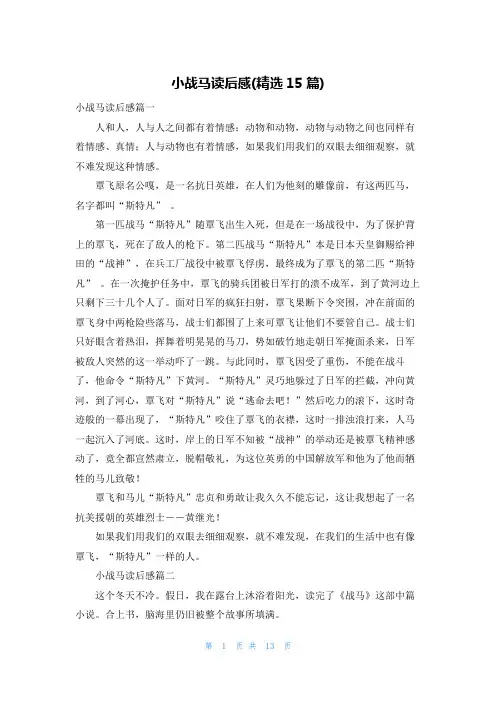 小战马读后感(精选15篇)