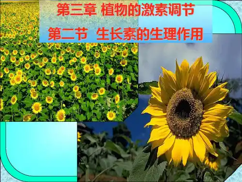 生长素的生理作用PPT演示课件