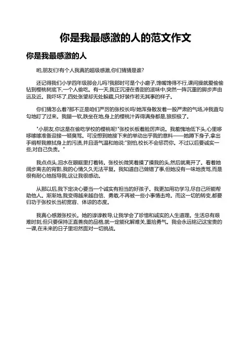 你是我最感激的人的范文作文