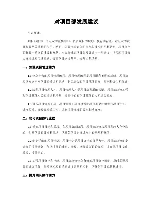 对项目部发展建议