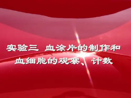 医学细胞生物学-实验3  血涂片的制作和血细胞的观察-计数(1)