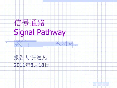 果蝇信号通路总结解剖