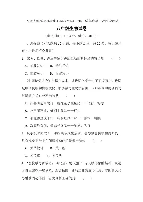 安徽省淮北市濉溪县孙疃中心学校2024-2025学年八年级上学期9月月考生物试题