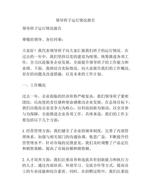 领导班子运行情况报告