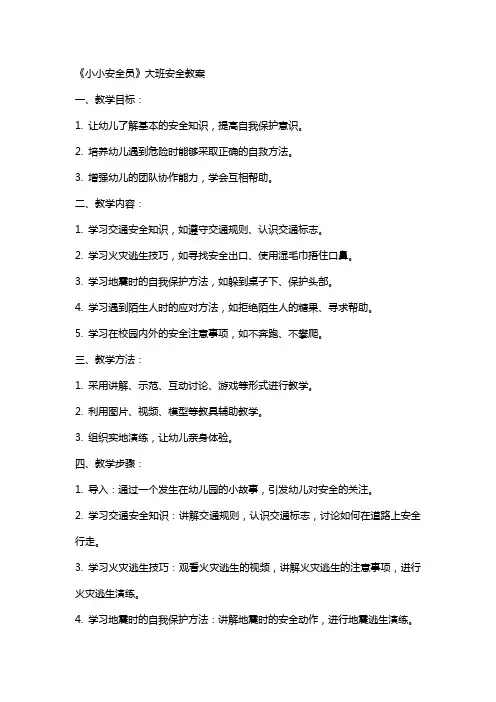 《小小安全员》大班安全教案