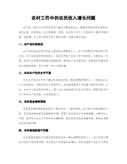 农村工作中的农民收入增长问题