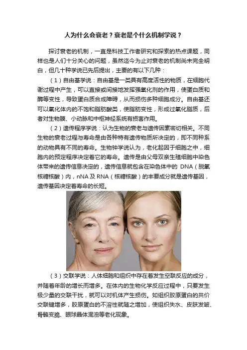 人为什么会衰老？衰老是个什么机制学说？