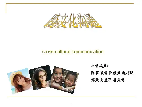跨文化沟通(cross-culture-communication)ppt课件