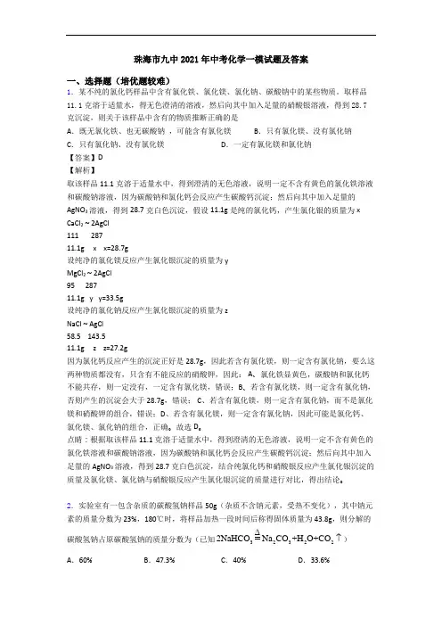 珠海市九中2021年中考化学一模试题及答案