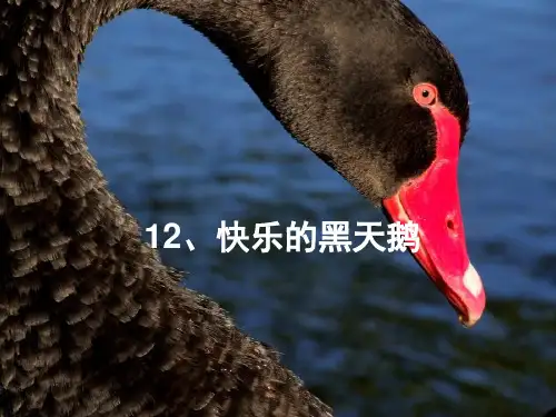新岭南版小学美术第七册(四上)12《快乐的黑天鹅》课件