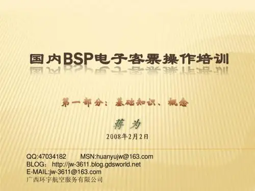 国内bsp电子客票培训教程