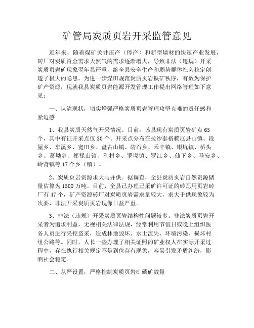 矿管局炭质页岩开采监管意见