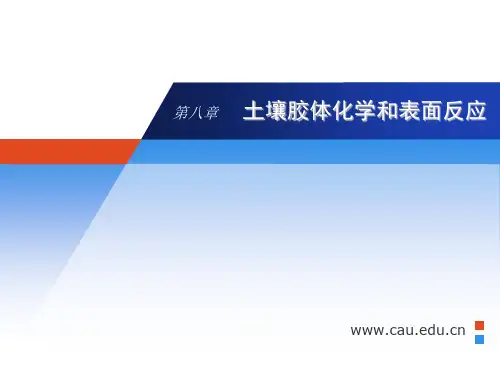 土壤学——土壤胶体和表面性质